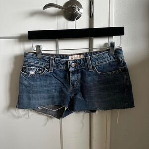 Women's Blue and Navy Shorts